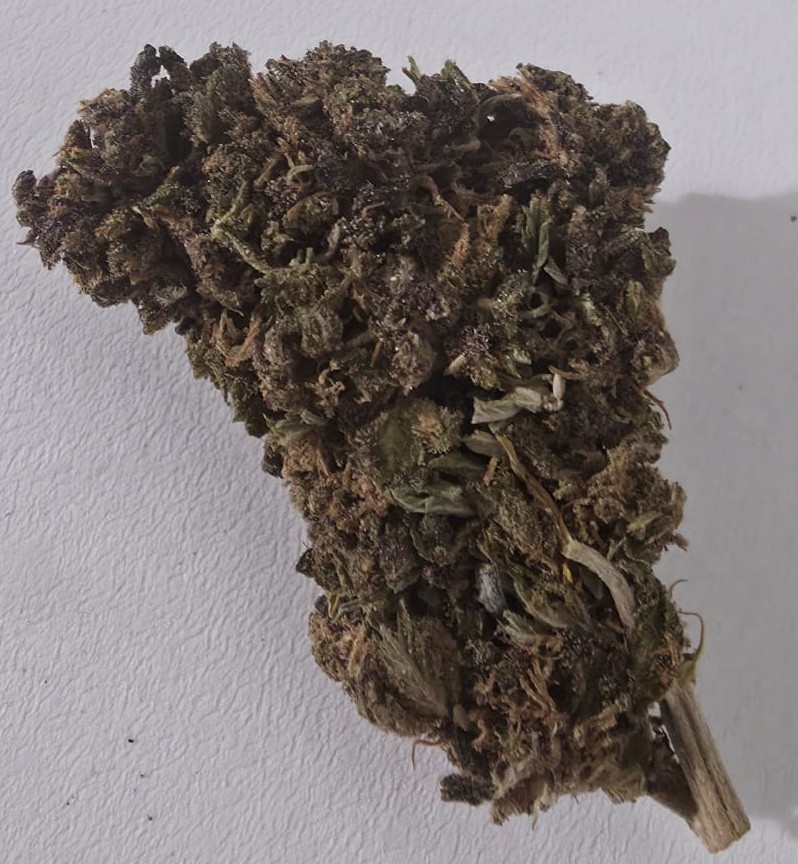 La que destaca por sus tonos purpuras... Purple Sapphire